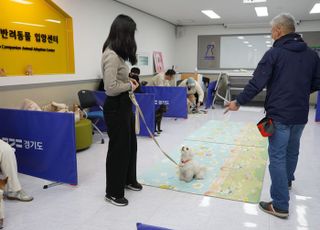 경기도, 여름방학 기간 어린이와 가족대상 '반려가족 문화 교육' 실시