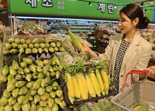 ‘새벽에 수확해 당일 판매’ 대형마트가 초신선에 몰두하는 이유는