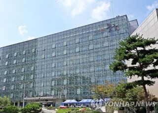 명동 노점상 '바가지 요금' 단속할 법적 강제수단 없지만…중구청, 7월 행정조치 취한다