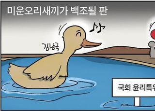 [D-시사만평] 김남국, 미운오리 새끼가 백조되나?…코인 투자 국회의원들 구명줄?