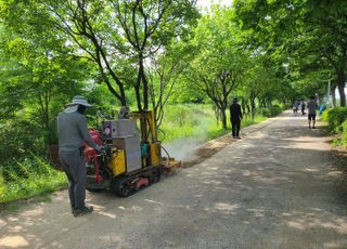 하남시, 한강변에 맨발로 걷는 모랫길 조성…시민들에게 인기