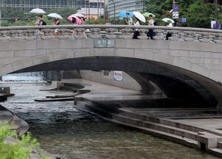 청계천서 물고기 집단 폐사…서울시설공단, 원인 조사