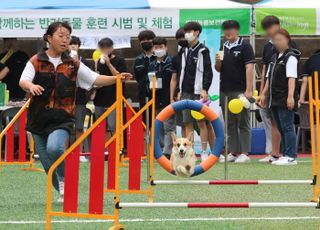 ‘반려동물행동지도사’ 국가자격 시행 윤곽 나왔다…내년 6월 첫 시험