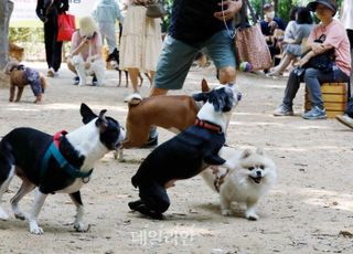 농식품부, 동물보호센터서 ‘1년내 반려동물 입양자’ 대상 무료 강의