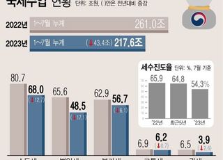 예측·대응 실패로 건전재정 ‘흔들’…추경 빌미까지 제공 [세수 재추계②]