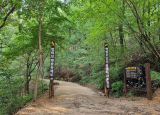 용인특례시, 법화산에 맨발 산책길 조성