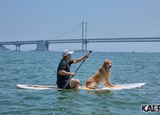 ‘반려견과 파도 타볼까’ 광안리서 제1회 SUP DOG 대회 개최