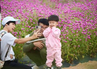 양주시 천만송이 천일홍 축제 성황리에 마쳐