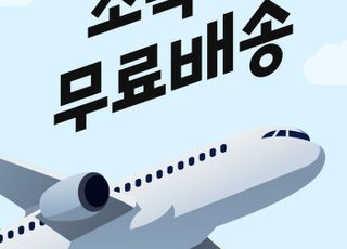 “직구샵 입점에 최저가 보상제까지”…패션 플랫폼, 해외 직구족까지 넘본다