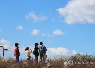 서리에 찬바람까지 쌩쌩…나들이 갈까 말까 고민 중이라면