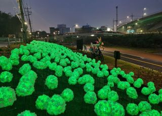 '낮과 밤' 항상 피어 있는 수국…용인 신갈천변 1.5km 구간 이색 산책길 조성