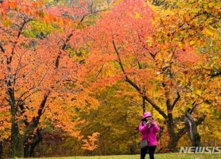 "단풍놀이 가요" 주말 날씨 '맑음'…교통 혼잡 예상