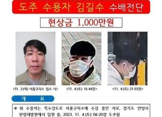 "김길수, 진료 감시 허술해지는 것 알았다…매번 당하는 교정 당국이 문제" [법조계에 물어보니 268]