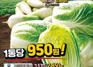 “배추 1포기 950원” 이마트, ‘2023 김장대전’ 시작