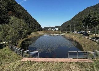 용인특례시 호동 ‘길업습지’ 반딧불이 서식처 조성 추진...경기도 지원 대상 선정