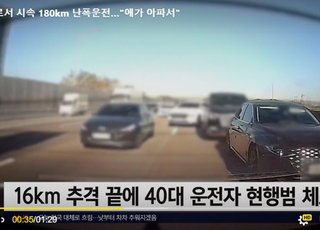 경부고속도로서 시속 180km 난폭운전자 "집에 아이가 아파서"…거짓말 들통