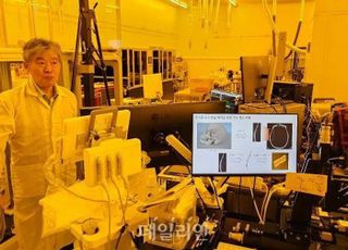 초음파만으로 값비싼 MRI·CT 대신할 수 있는 ‘비법’ [메타물질③]