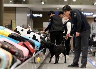 우범국 여행자, 입국 즉시 마약 전수조사 받는다…오처방 의사는 자격정지