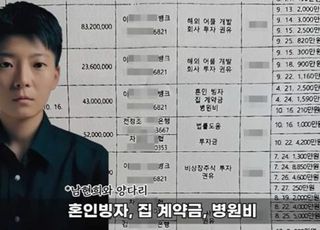 "전청조, 단 8개월간 28억 4000만원 사기"