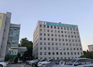 "로봇이 학생들과 영어로 대화"…서울 초중등교에 1대1 영어회화 로봇 투입 