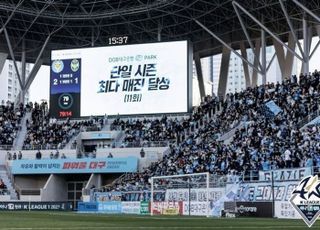 ‘평균 관중 1만 시대’ 야구와 키 맞춘 축구 열기 [K리그 흥행①]