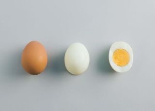 똑같은 달걀인데, 껍질 색 왜 다른가 했더니…신선한 계란 고르는 방법은