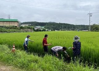 용인특례시, 올해 약 6000 농업인에 공익직불금 71억원 지급