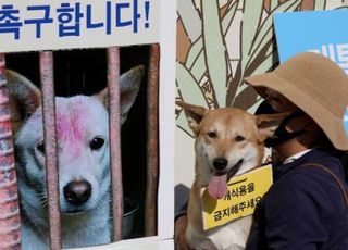 "개 식용 금지? 1마리당 200만 원 보상하라"