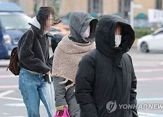 서울 전역 오후 9시부터 한파주의보 발효…서울시, 24시 비상근무 돌입