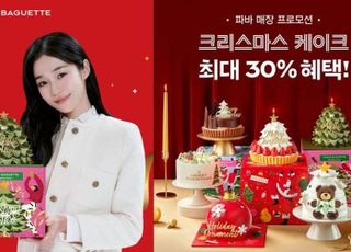 파리바게뜨, 크리스마스 케이크 최대 30% 프로모션 진행