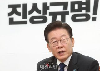 국힘 "쌍특검 요구 민주당, 이재명 범죄혐의 손바닥으로 가리나"