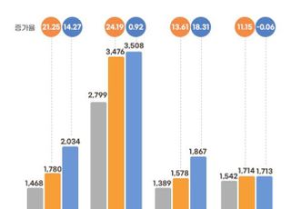 수도권 분양가 2년 연속 두 자릿대 상승률…경기도가 견인