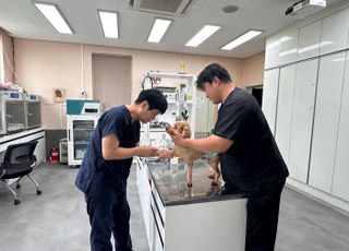 경기도, 도내 '동물병원 진료비용 게시' 중점 점검에 들어가