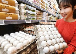 홈플러스, 30% 더 저렴한 ‘미국산 계란’ 판매