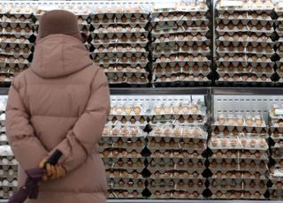 ‘金계란’ 불안 해소…농식품부, 공급 늘리고 납품단가 낮춘다