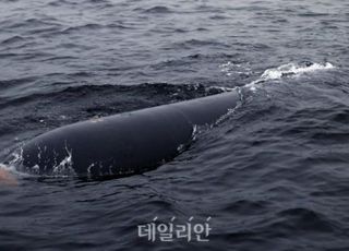 국방부, 北 '수중 핵무기 실험' 주장에 "직접적 도발시 압도적 대응"