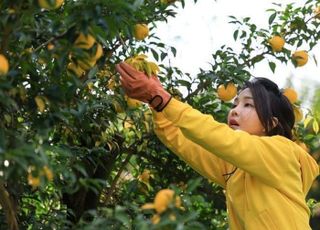 대통령실, '김 여사' 디올백 의혹 첫 입장 내놨지만 '뾰족수' 마련 고심