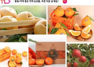 11번가, '농산물 온라인 도매시장'서 직매입…슈팅배송으로 판매