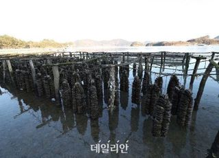 해수부, 김·굴·전복·넙치 중심 ‘양식수산 소비·수출 육성방안’ 발표
