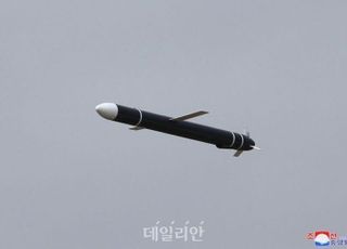 [속보] 합참 "北, 신포 일대서 동해로 순항미사일 여러 발 발사"