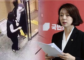 "연예인 사인 받는다며 종이·펜 대신 벽돌 준비?"…송파구청장, '배현진 우발피습설'에 의구심