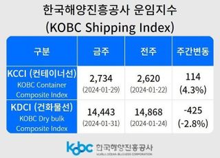 홍해발 해운 위기에 K-컨테이너운임지수 9주 연속 상승