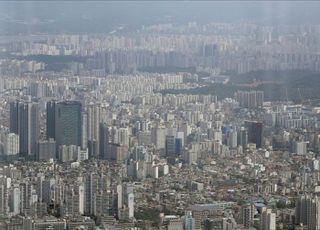 “국민평형 인기 좋네”…중형 타입 아파트 거래비율 48%