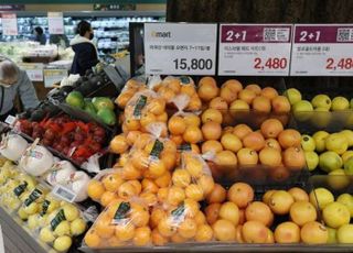 ‘과일 금값 시대’ 제철 감귤·딸기 밀어낸 수입 오렌지