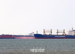 “해운 위기, 경제에 치명”…정부, 물류비·수출길 확보 사활[예측불허 홍해④]