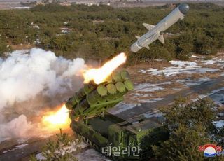 위협의 '디테일'…북한, 순항미사일 세분화