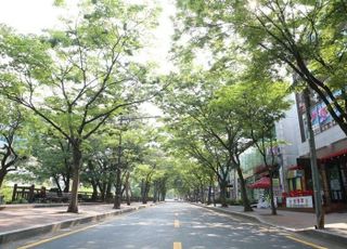 안양시, 예술공원로 600m 밝아진다…고효율 친환경 LED 가로등 교체 추진