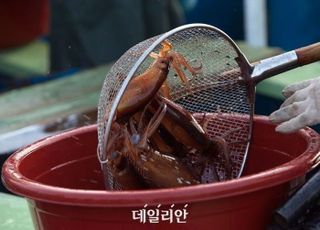 해수부, 원양 오징어 국내 공급 시기 점검…“4월 조기 유입 요청”