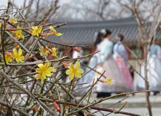 [내일날씨] "봄봄봄 봄이 왔네요"…낮 20도까지 오른다