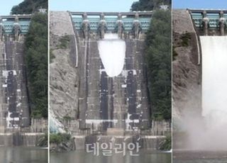“홍수·가뭄에 최적”…댐 건설 늘리는 정부, 찬반 ‘팽팽’ [환경은 어쩌고⑤]